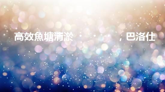 高效魚塘清淤，巴洛仕設(shè)備助力生態(tài)養(yǎng)殖